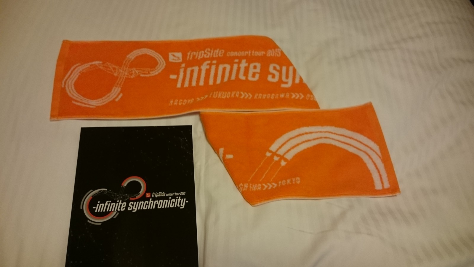 Fripside Concert Tour 15 Infinite Synchronicity に行ってきた